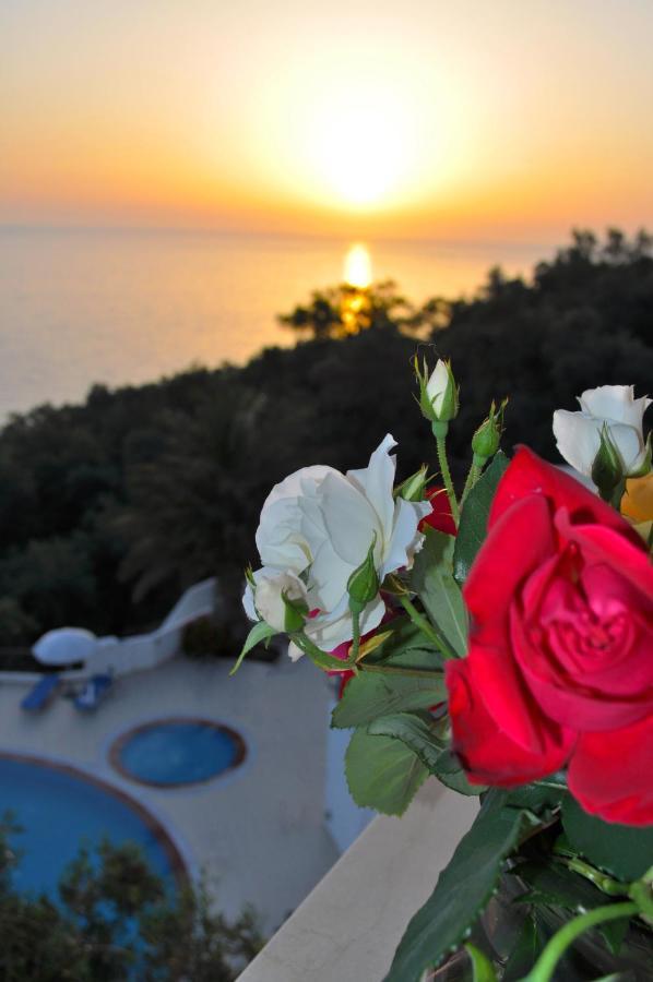 Holiday Apartments Maria With Pool And Panorama View - Agios Gordios Beach Екстериор снимка